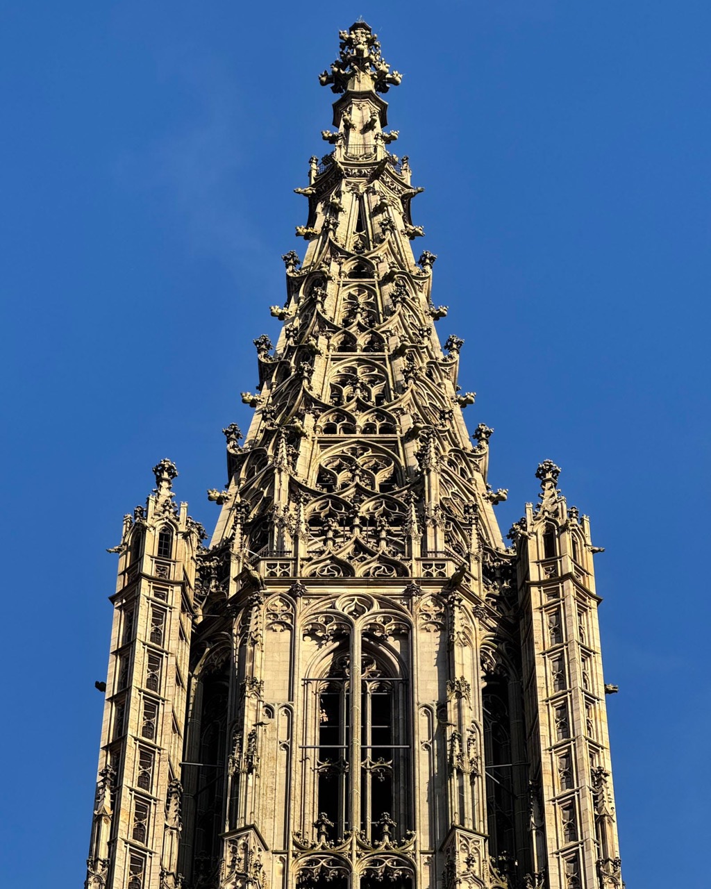 130年以上、世界でいちばん高い教会だったウルム大聖堂 (ⓒThe Gothic World)