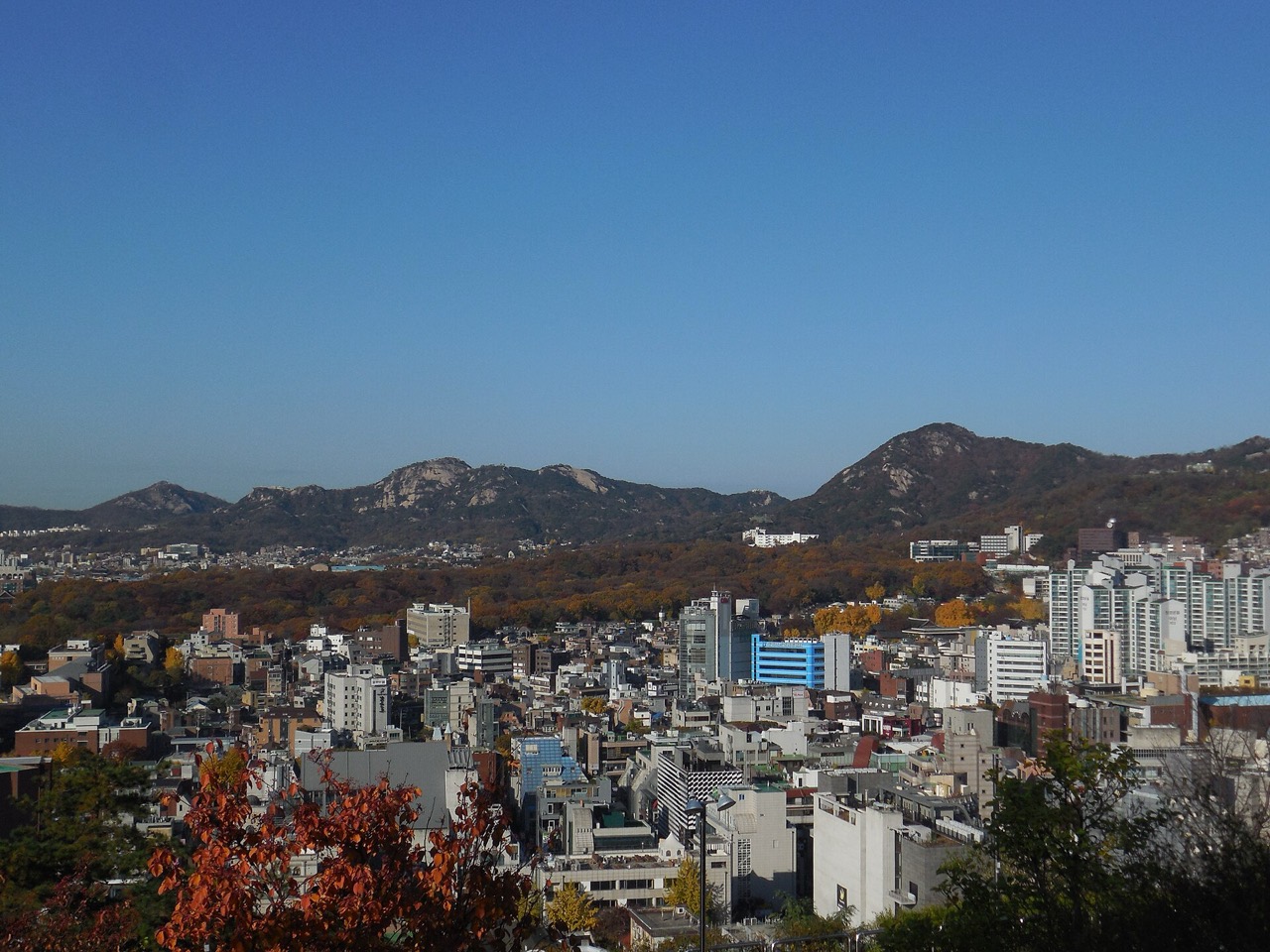 낙산에서 본 종로 · 극장가가 들어앉은 언덕 아래 구역. ⓒ오모군, CC BY 3.0, Wikimedia Commons