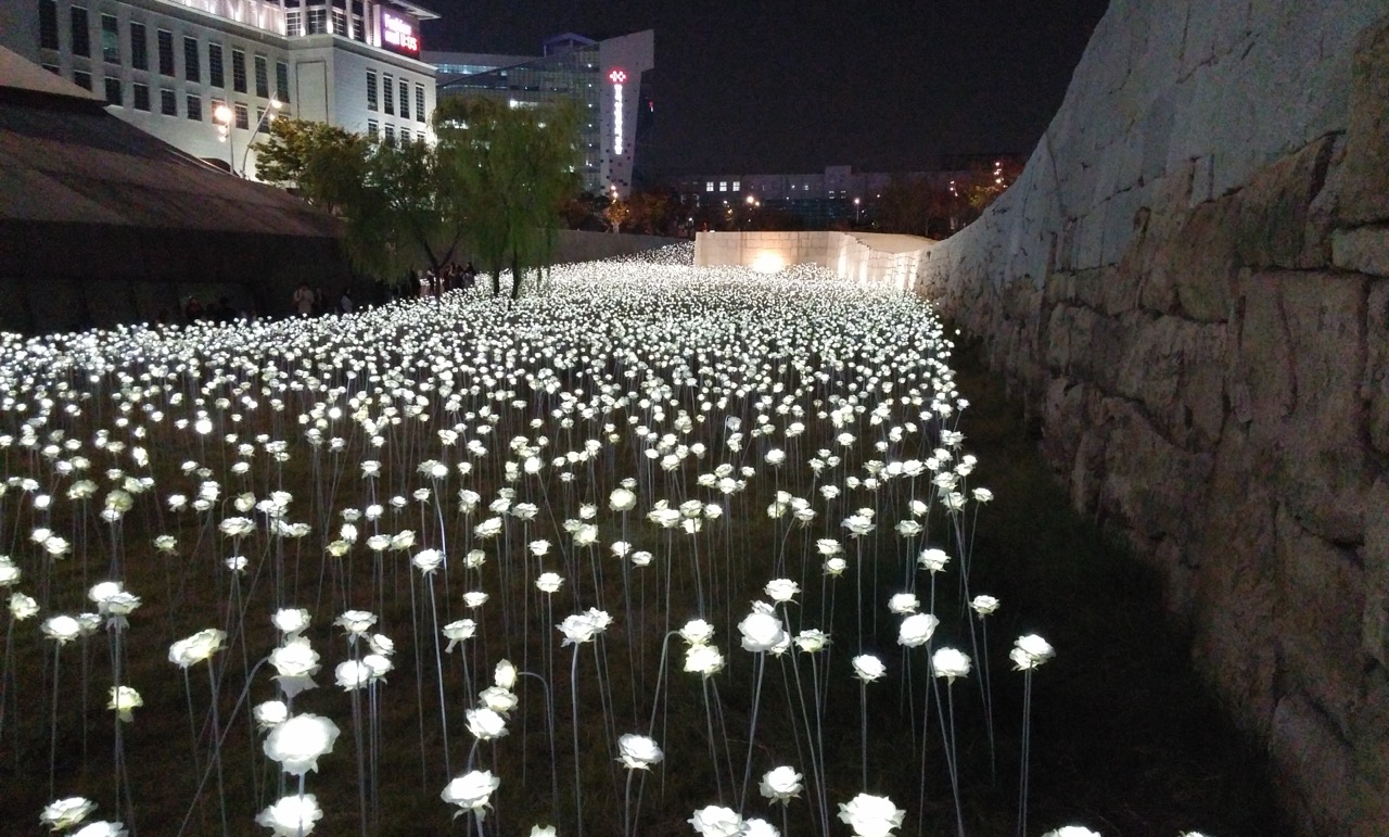 밤의 외벽 · 불을 밝힌 DDP와 잔디밭에 깔린 전자 꽃 설치물. ⓒChristian Bolz, CC BY-SA 4.0