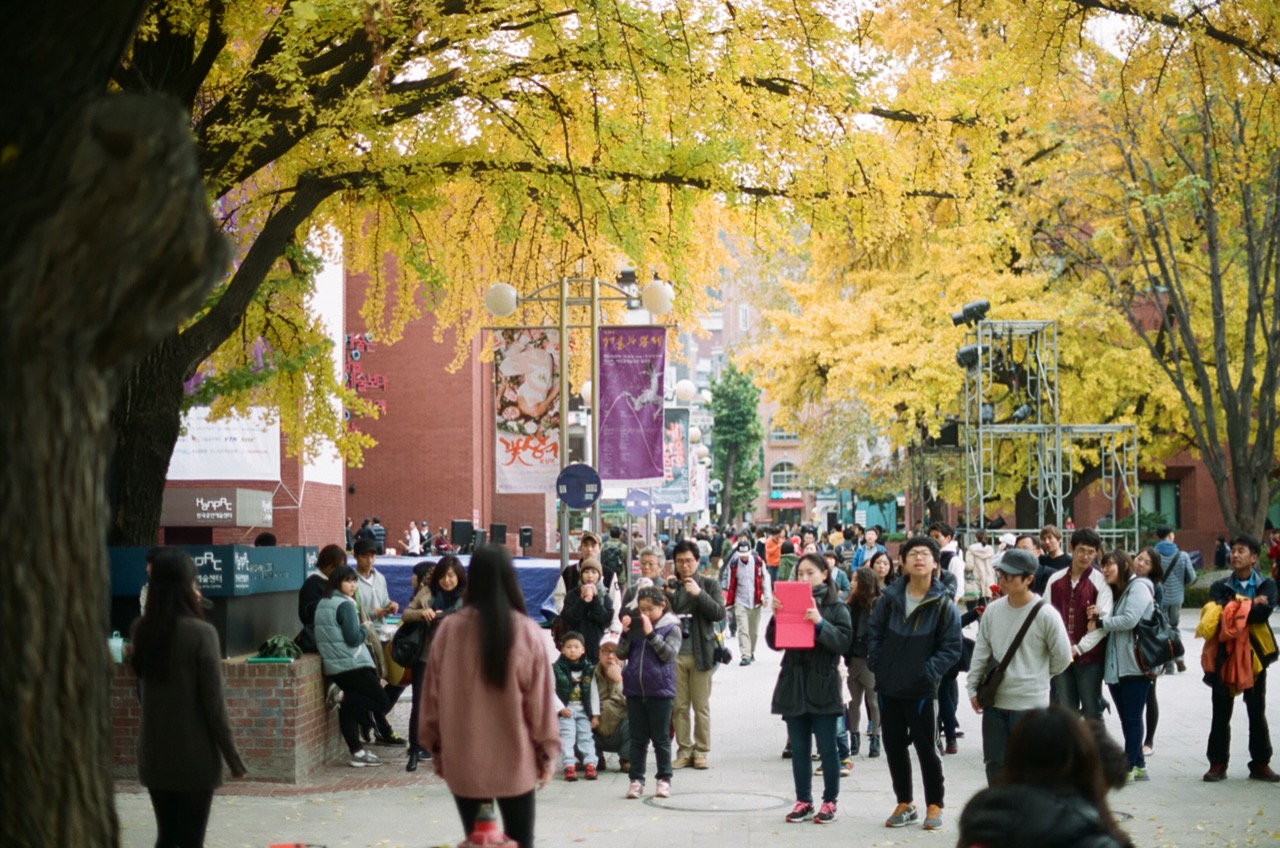 은행잎이 물든 대학로 · 가을 대학로 거리. 공연 현수막 아래로 사람들이 지나간다. ⓒPhoto and Share CC · CC BY 2.0