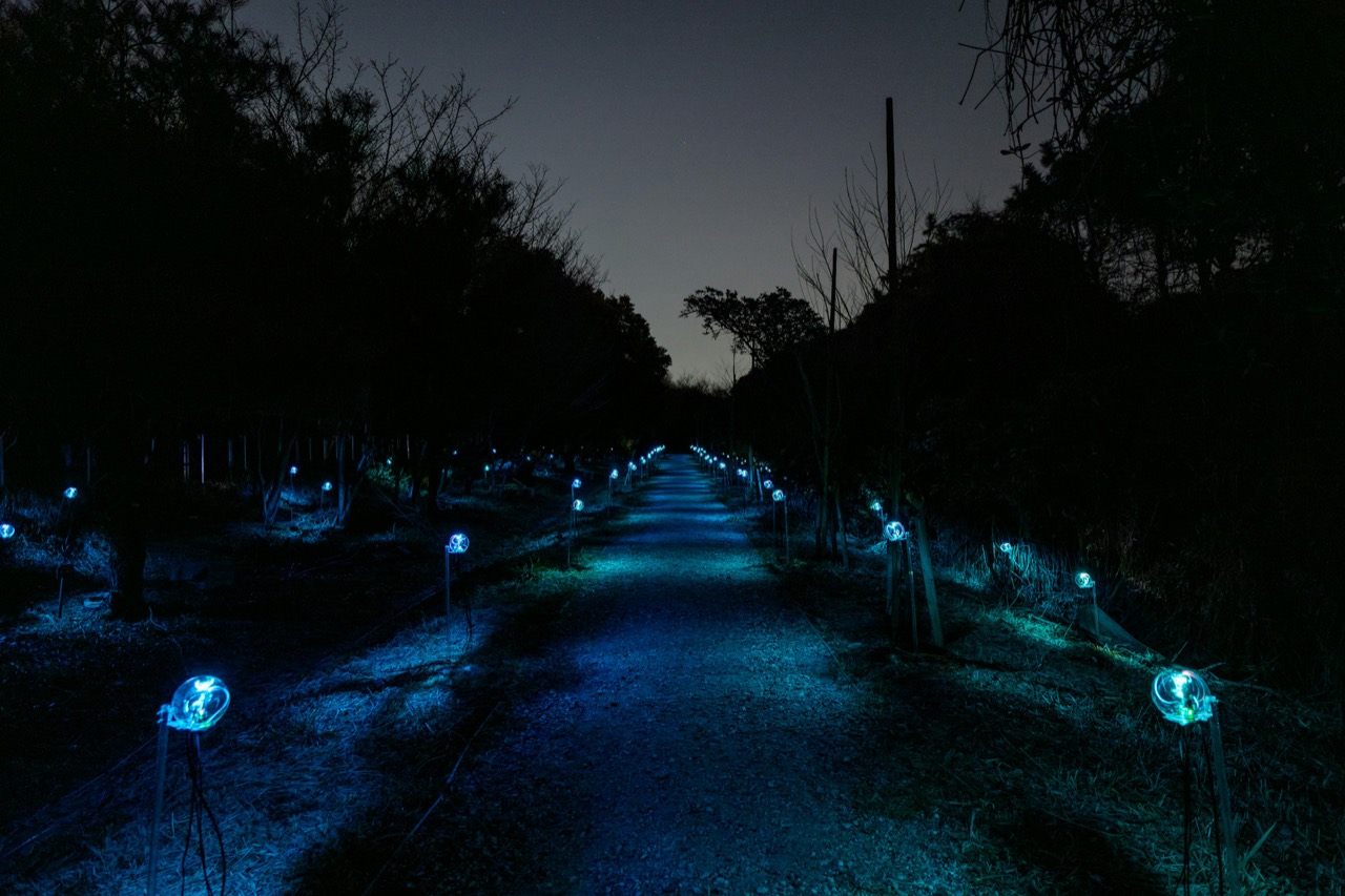 青い灯が並ぶ道 · 岸裕真と竹森達也の「Botanical Intelligence: Moon Edition」。植物の信号を光と音に変えた。ⓒムーンアートナイト下北沢