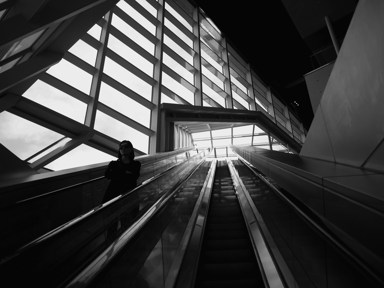 A path that lets the light in · The escalator up to the screening halls. Daylight falls through the lattice ceiling. ⓒQian Ding · CC BY-SA 2.0