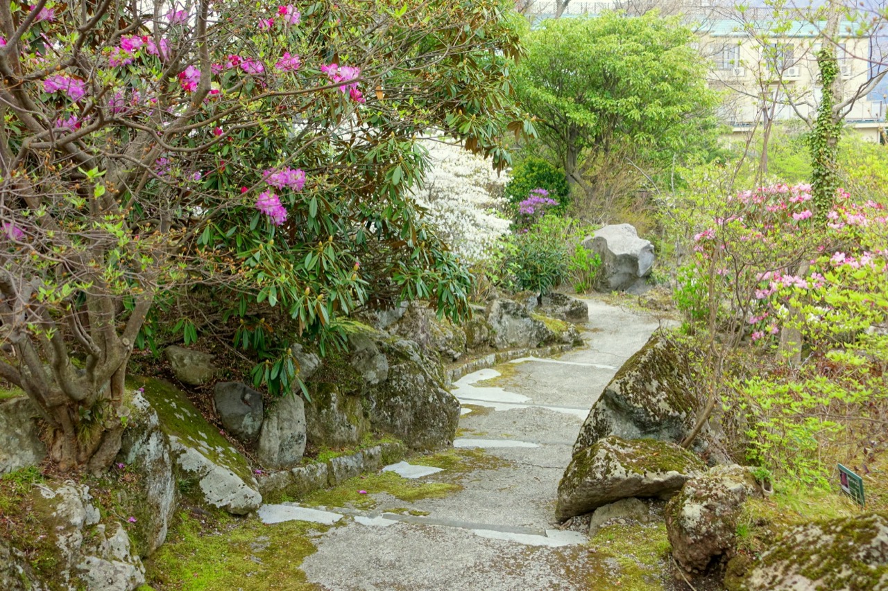 하코네 고라 · 도쿄에서 가장 가까운 온천지. 다섯 곳 중 수도권 수요를 잡는 자리다. ⓒDaderot · CC0