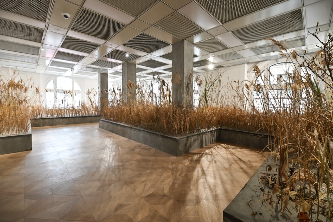 March opening show · Planters set into the floor, filled with dried grasses. Underfoot, the relaid parquet. ⓒ艺术头条