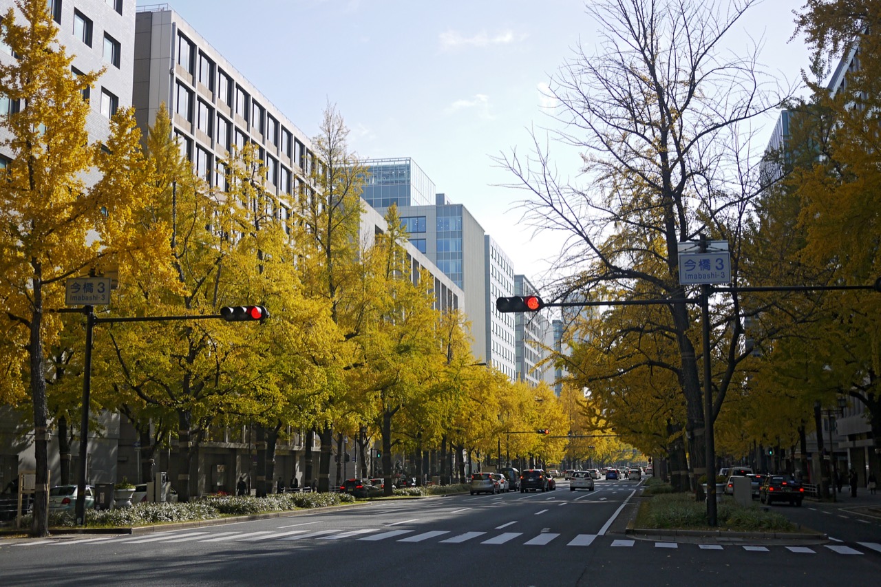 미도스지의 가로선 · 은행나무 높이와 건물 처마 높이가 이 거리의 규칙을 만든다. ⓒWikimedia Commons