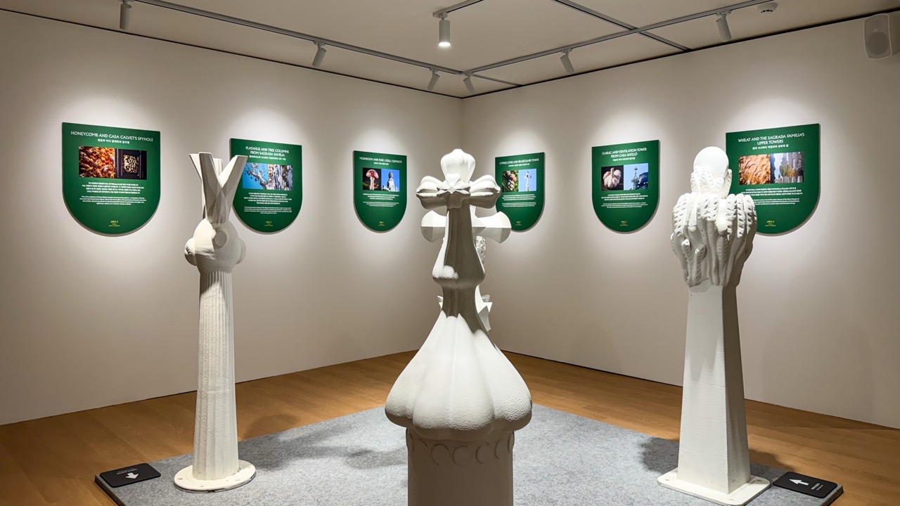 一区画がひとつの主題 · ワンルーム一区画がそのまま展示室。ⓒBRIQUE Magazine