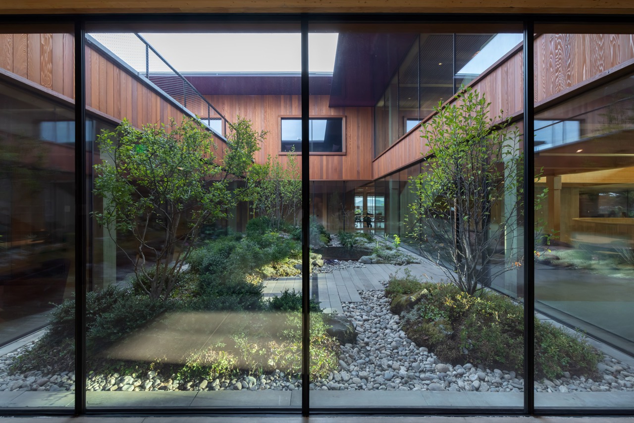 建物内の中庭 · ガラスで囲んだ中庭に砂利と草、木を植えた。ⓒIwan Baan · Dezeen
