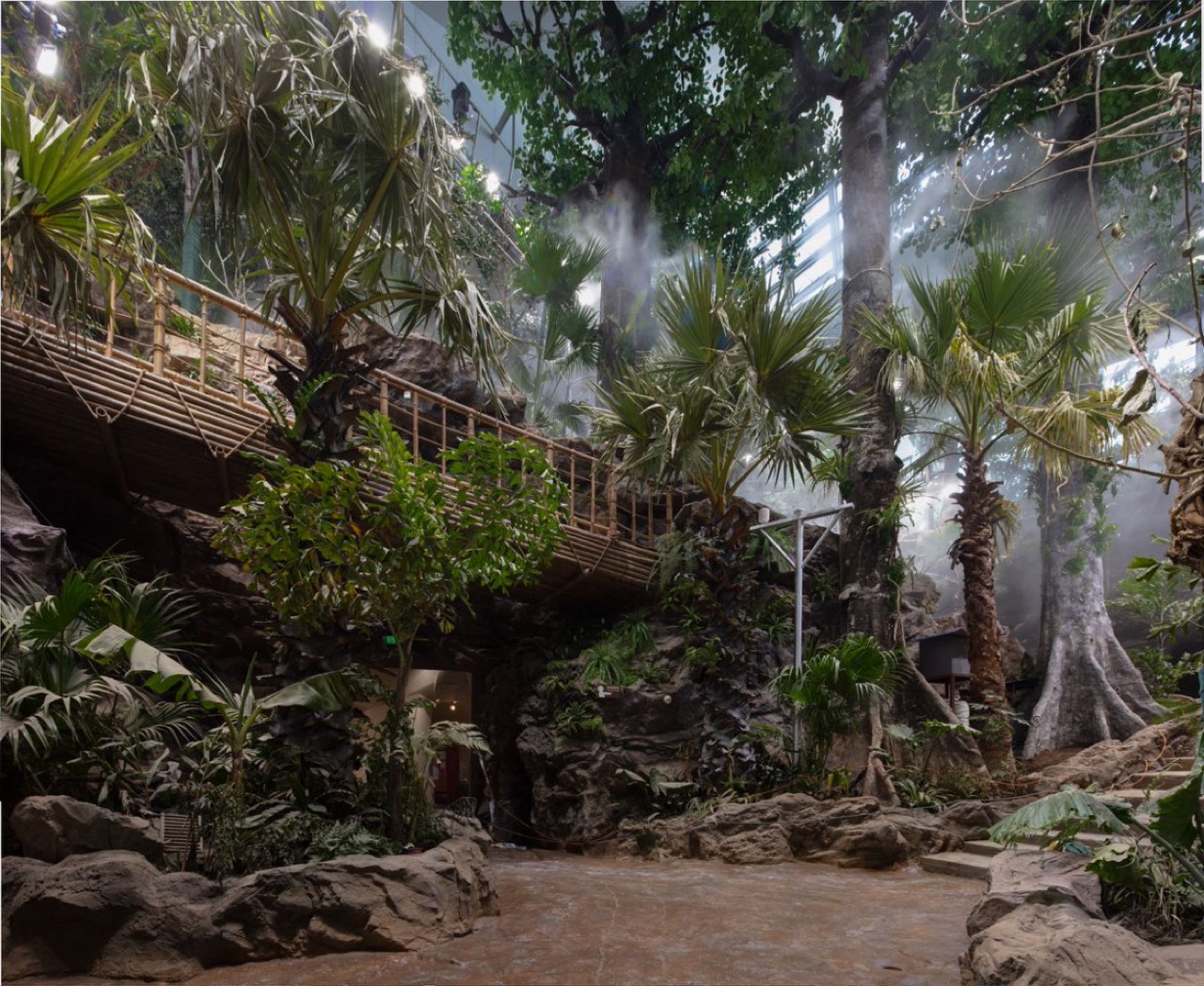 Rainforest Realm · At 3,170㎡, the largest of the exhibition zones. Mist drifts between the trees. ⓒThe Paper (澎湃新闻)